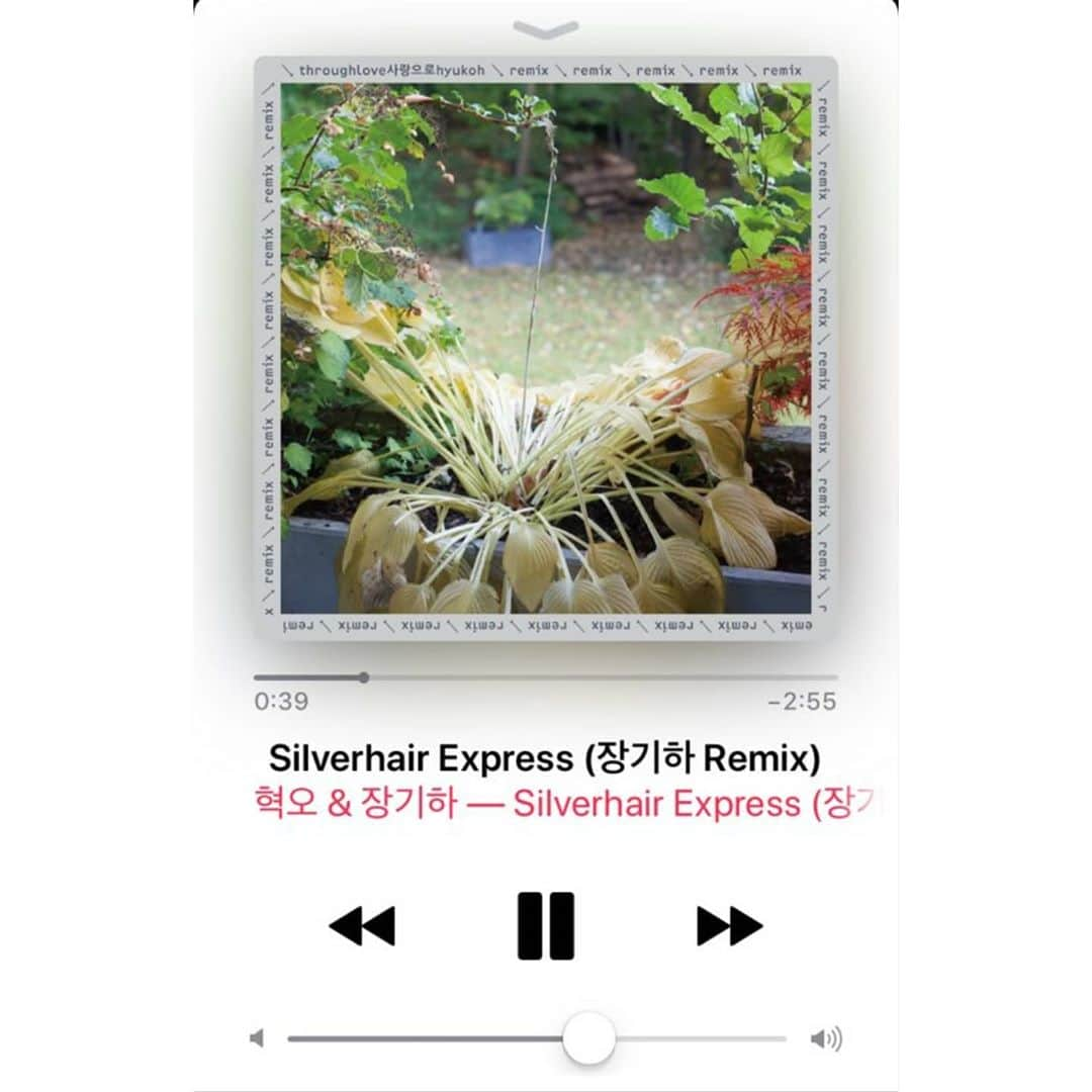 TWICEさんのインスタグラム写真 - (TWICEInstagram)「오늘 날씨랑 너무 잘 어울리는 노래🌻 #낮잠 #SliverhairExpress #난춘 #챙뮤직」9月27日 14時14分 - twicetagram