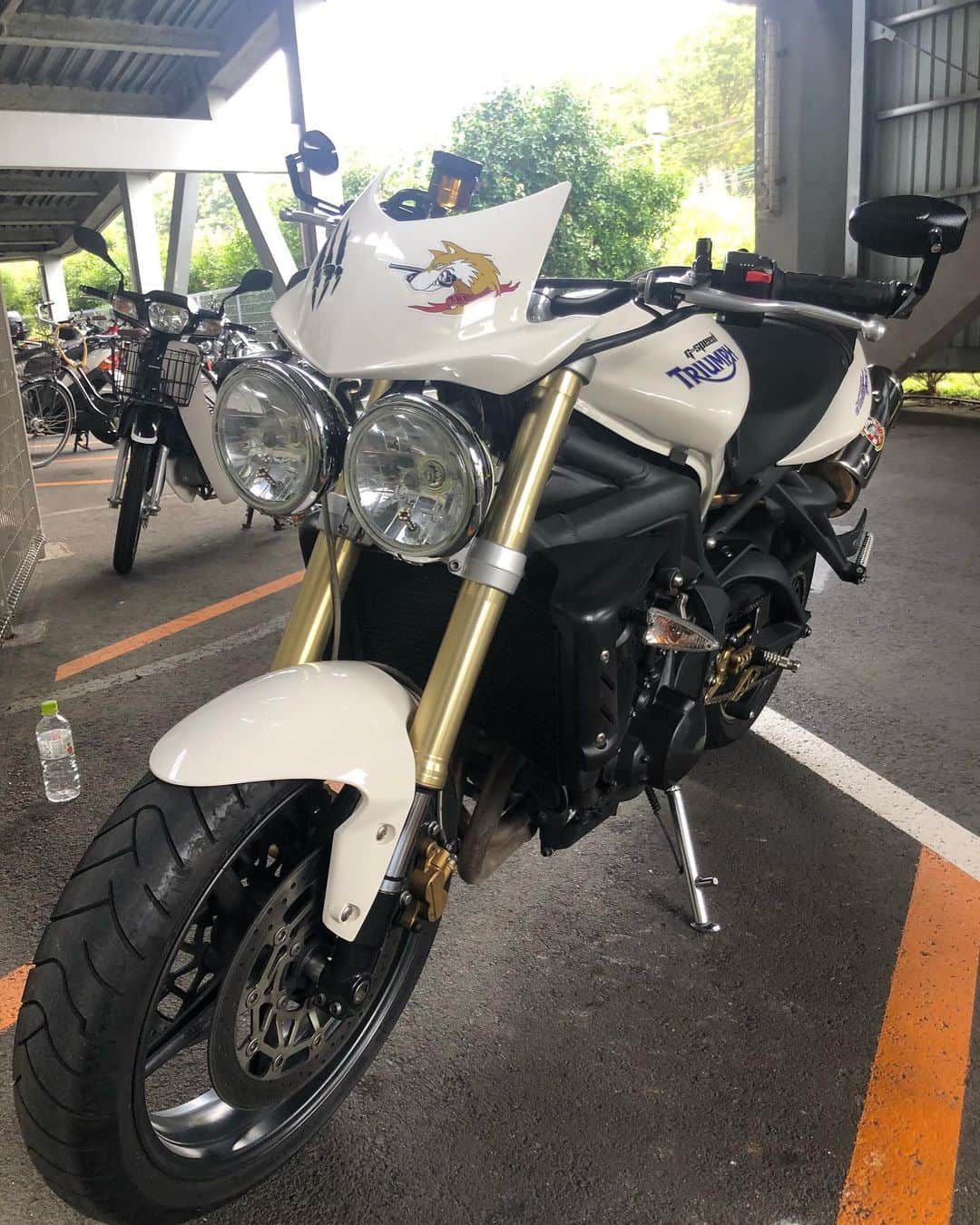 KIYOのインスタグラム