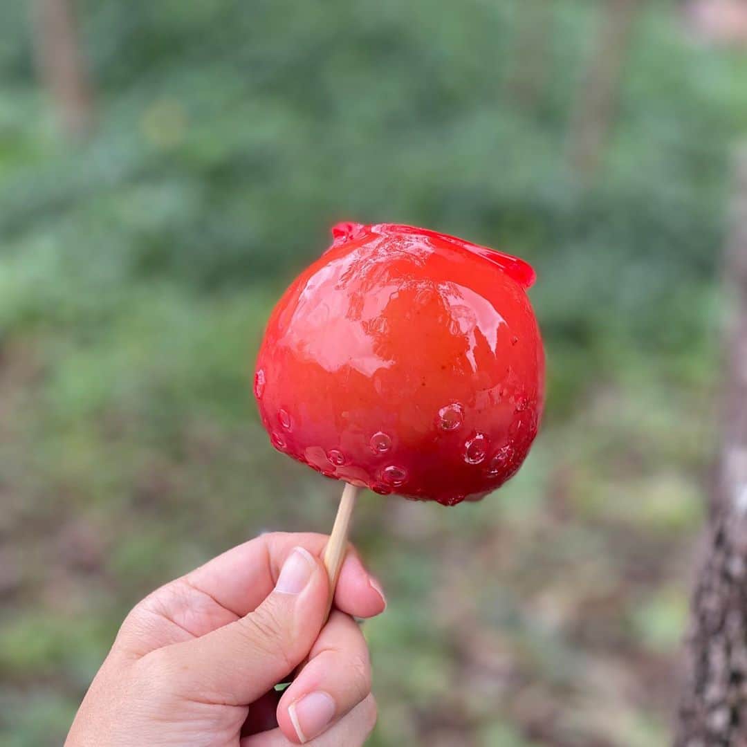 服部円のインスタグラム：「何個でも食べられる☺️屋台のやつより上品かも🍎 #りんご飴」