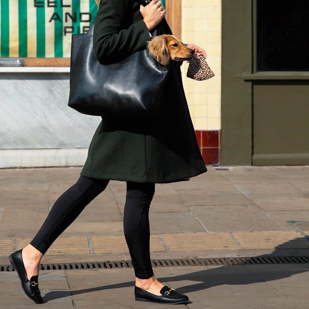 アクセサライズのインスタグラム：「Buys leggings for Barre then wears leggings to brunch...anyone else? Our leggings are made to be lived in.   Tap the link in our bio to shop #Accessorize #ActivebyAccessorize」