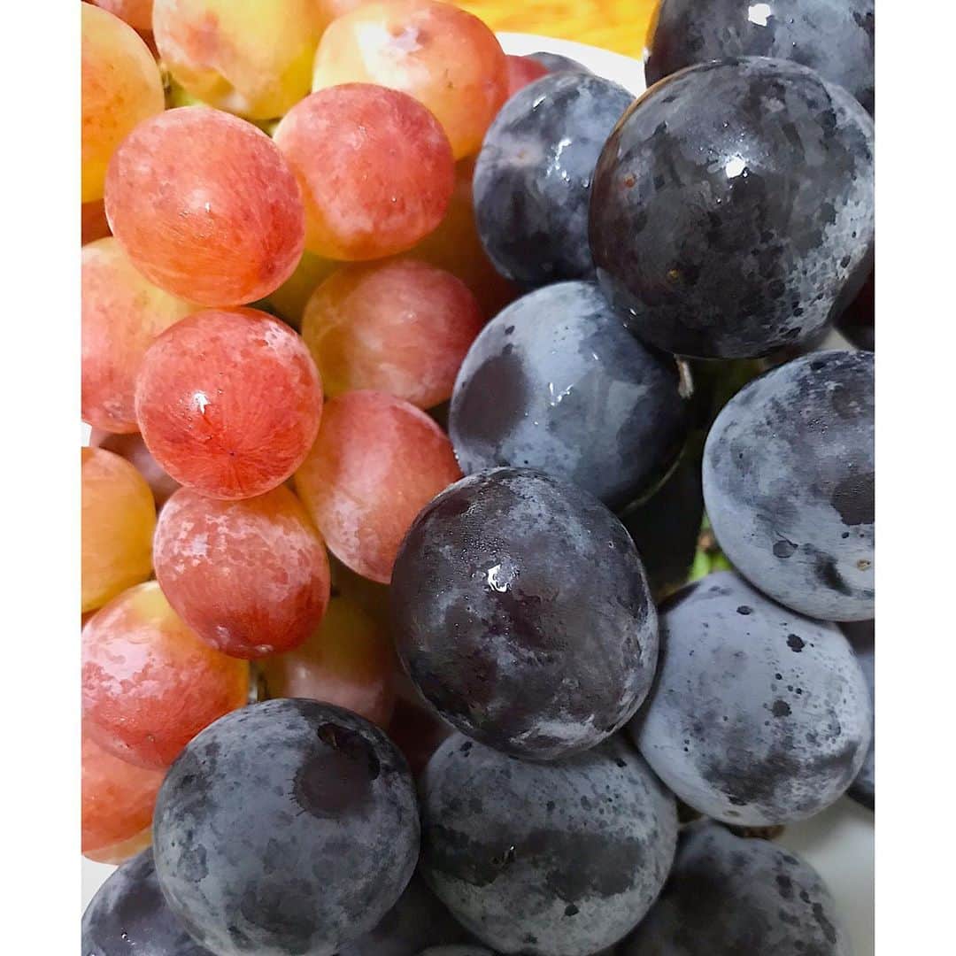 奥村愛子のインスタグラム：「* いただいてしまった 山梨のぶどう 幸🍇😋」