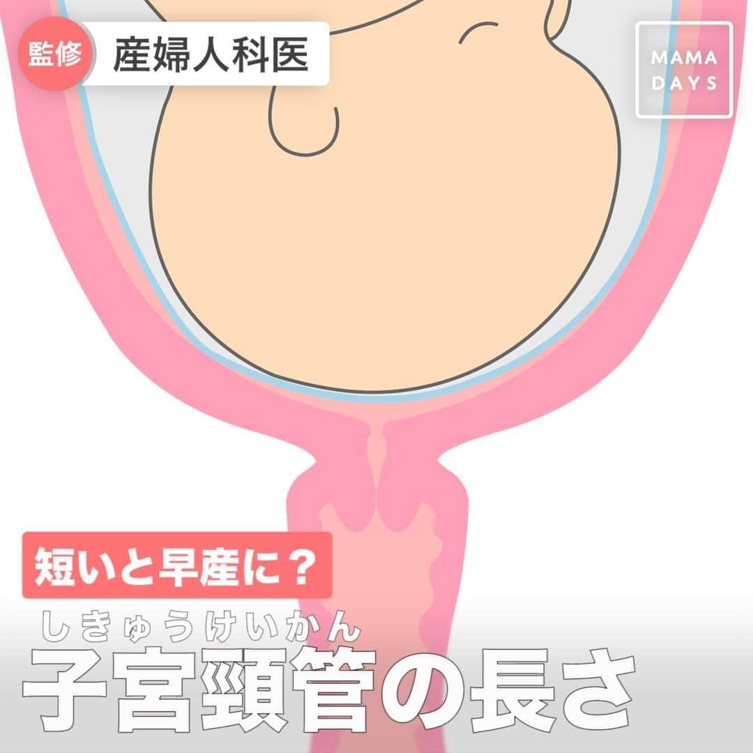 MAMA DAYS -ママデイズ- 公式Instagramのインスタグラム