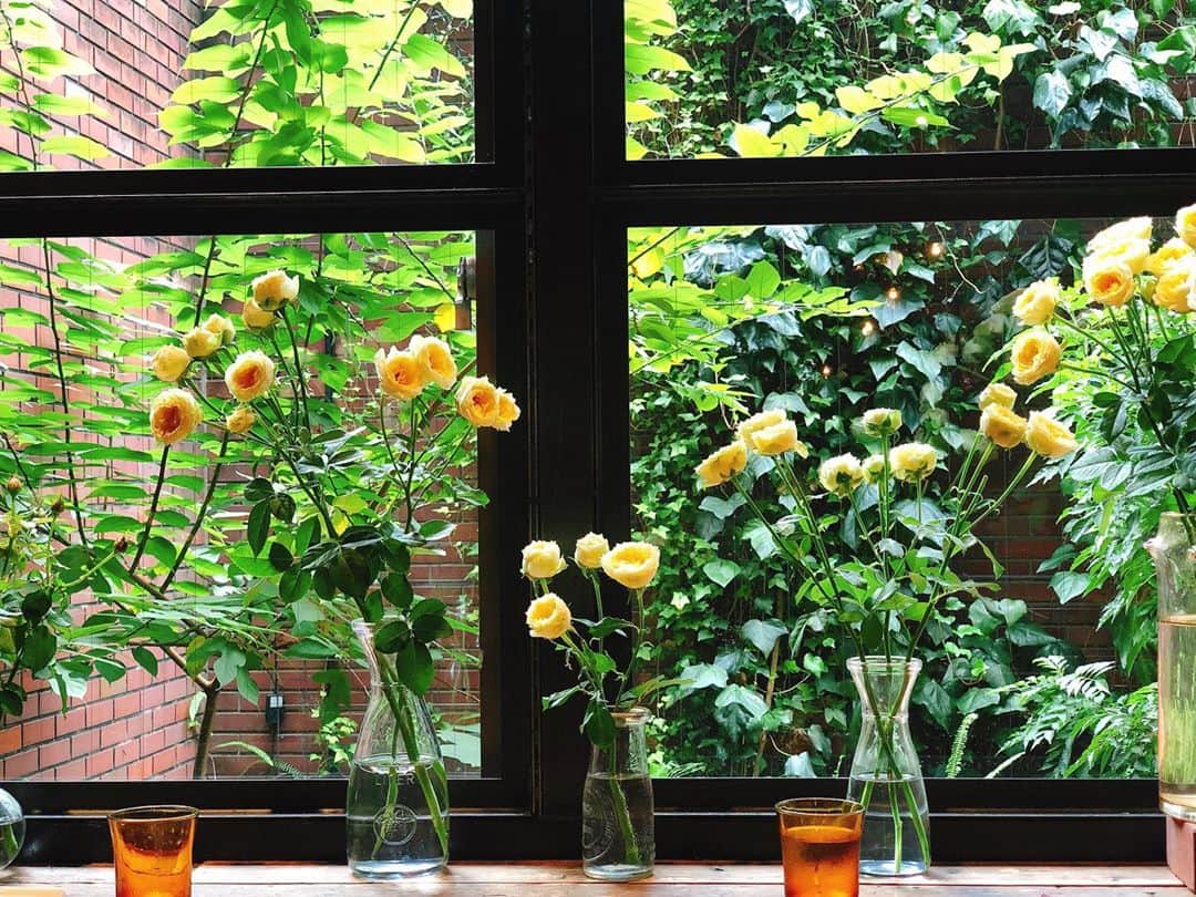 蒼井彩加のグルメインスタ