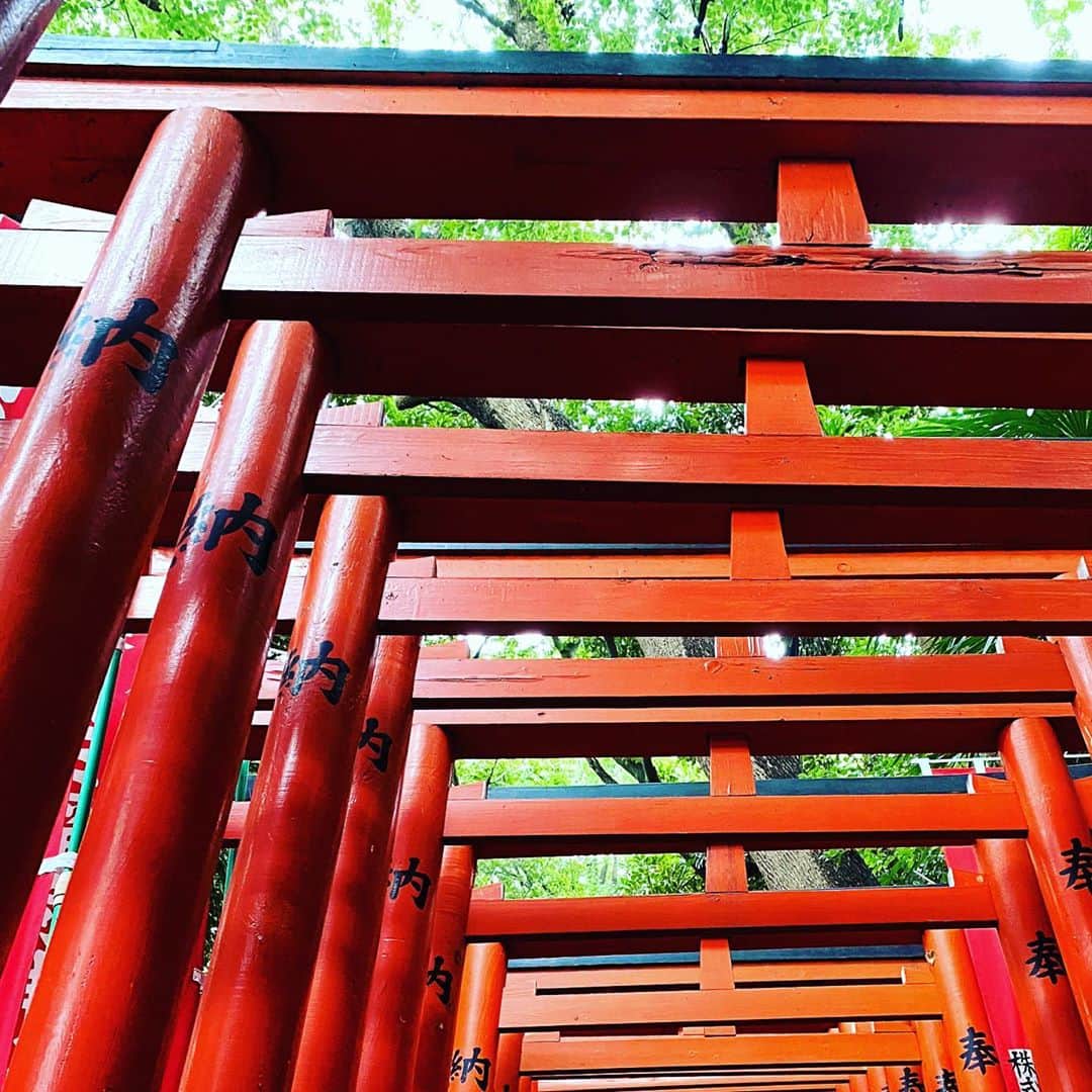 谷口賢志のインスタグラム：「参拝。  #日枝神社 #稲荷参道」
