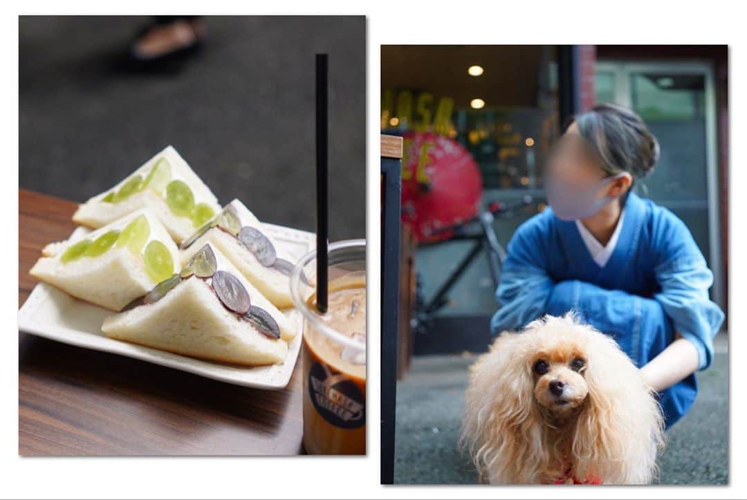 Toypoodle Mikuru?Asakusa Tokyoさんのインスタグラム写真 - (Toypoodle Mikuru?Asakusa TokyoInstagram)「20200927 Sunday. 📍 @sukemasacoffee . 秋合宿の途中ですが、差込投稿😆 . くみこさん @ku3442 とスケマサコーヒーでlunchしました♥️ 季節のフルーツサンドは今だとシャインマスカットとナガノパープル🍇 甘くて美味しい😋 ぶどうなので みきゅるんは食べれませんが、ちょっとだけクリームを舐めさせたら、美味しかったらしく、それまでやる気なく寝ていたのにおメメランランでクレクレ攻撃でうるさかったです😰 . ❶ カフェの前 ❷ まだやる気ない時😂 ❸ フルーツサンドと店員さんに桃尻提供ちう . クリーム自体はあまり甘くなく、うすーく餡子がサンドされてます。 シャインマスカットには白餡。ナガノパープルには黒餡。彩も考えてるんですね〜🥰 . テラス席のみワンコOKです♥️ 土日休日は混み合ってますので、ちょっと待っちゃうかも😌 . マスカットの次は何のフルーツサンドかなぁ😋 . #スケマサコーヒー #季節のフルーツサンド #シャインマスカット #ナガノパープル #浅草カフェ」9月27日 16時03分 - purapura299