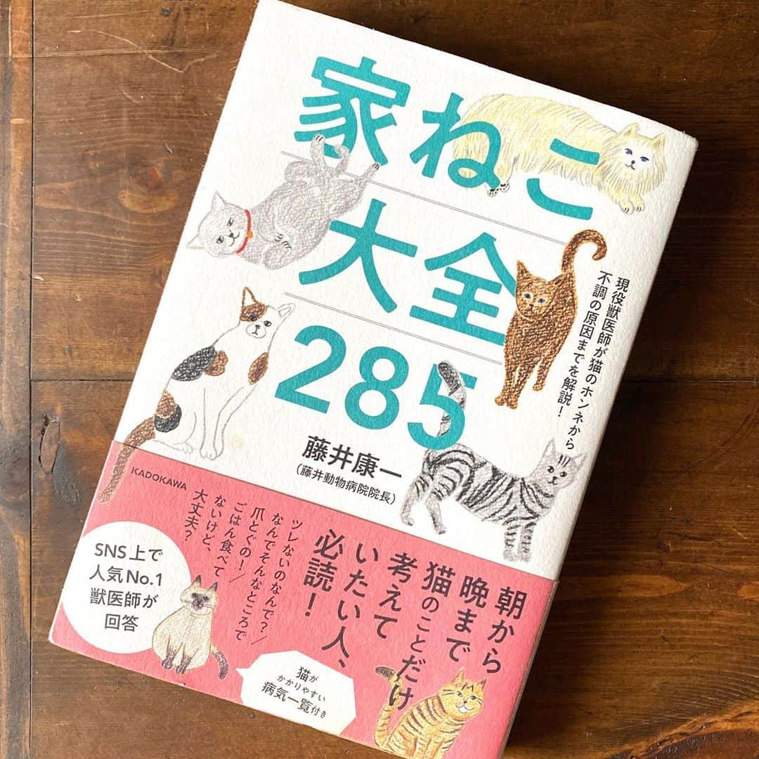 手紙社のグルメインスタ