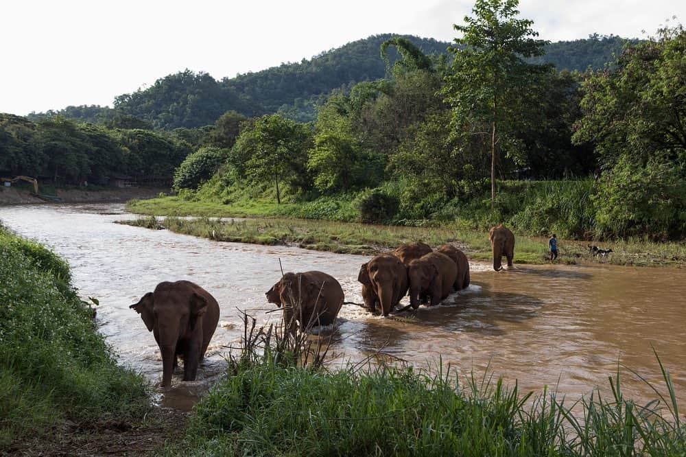 National Geographic Creativeさんのインスタグラム写真 - (National Geographic ...