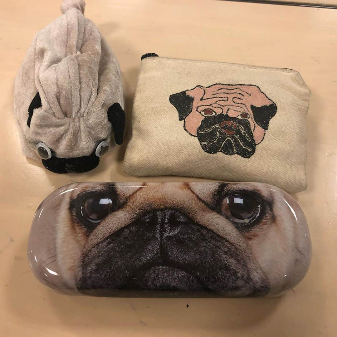 やついいちろうさんのインスタグラム写真 - (やついいちろうInstagram)「いつも一緒のパグたち  #pug #pugs #puglife #puglove #パグ #パグスタグラム」9月27日 17時28分 - yatsuiichiro