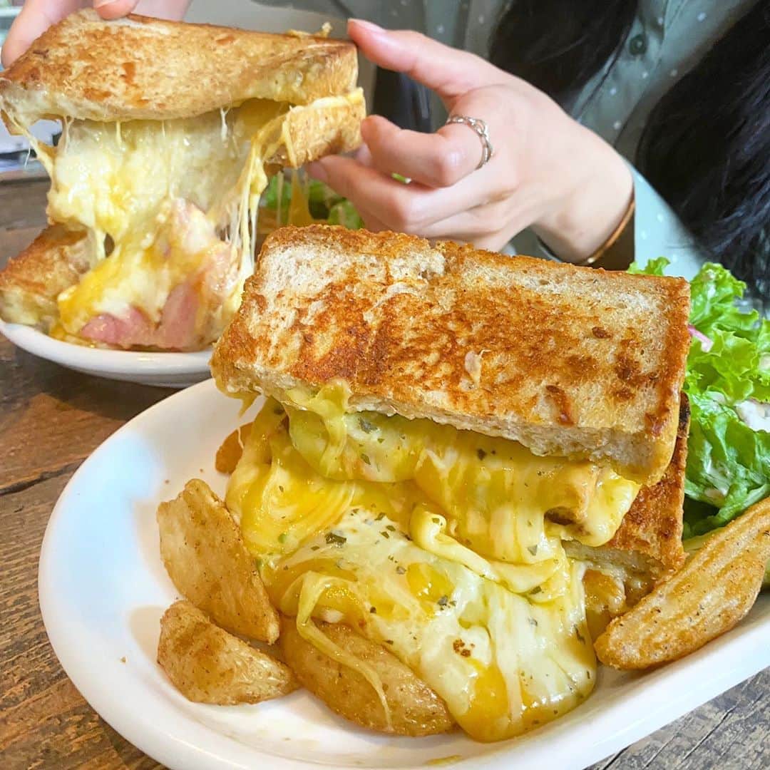 ウルフのグルメインスタ