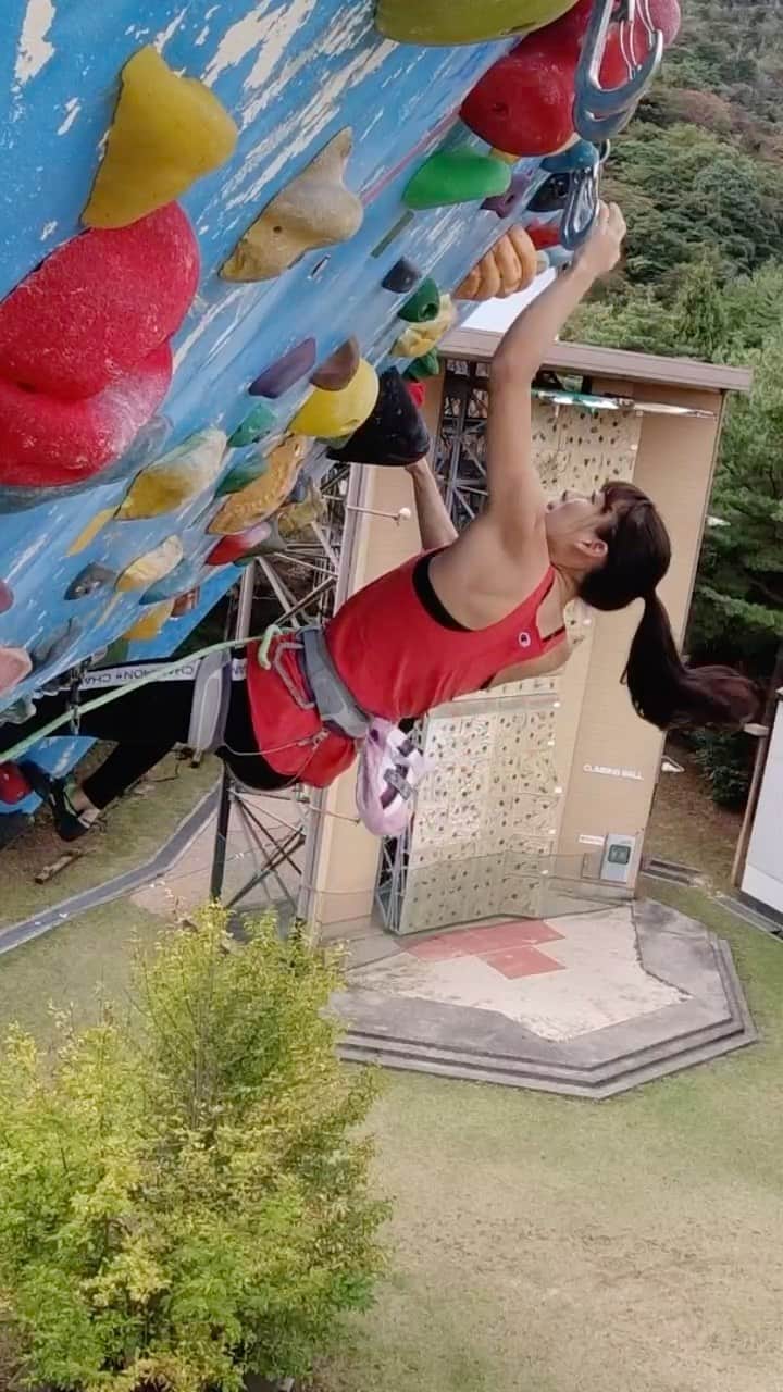 大田理裟のインスタグラム：「普段のトレーニング動画🧗🏻‍♀️💘﻿ リードの動画をUPするの初めて😄﻿ ﻿ #climbing #lead #bouldering #クライミング #sportclimbing #champion #championjp #leadclimbing #training」