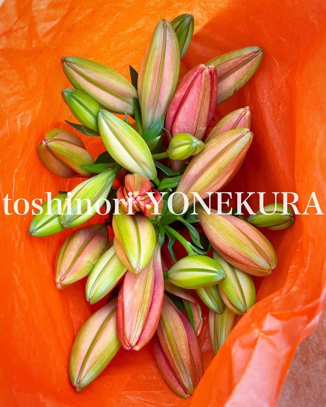 のインスタグラム：「flowers of this week #男花 #花のある生活」