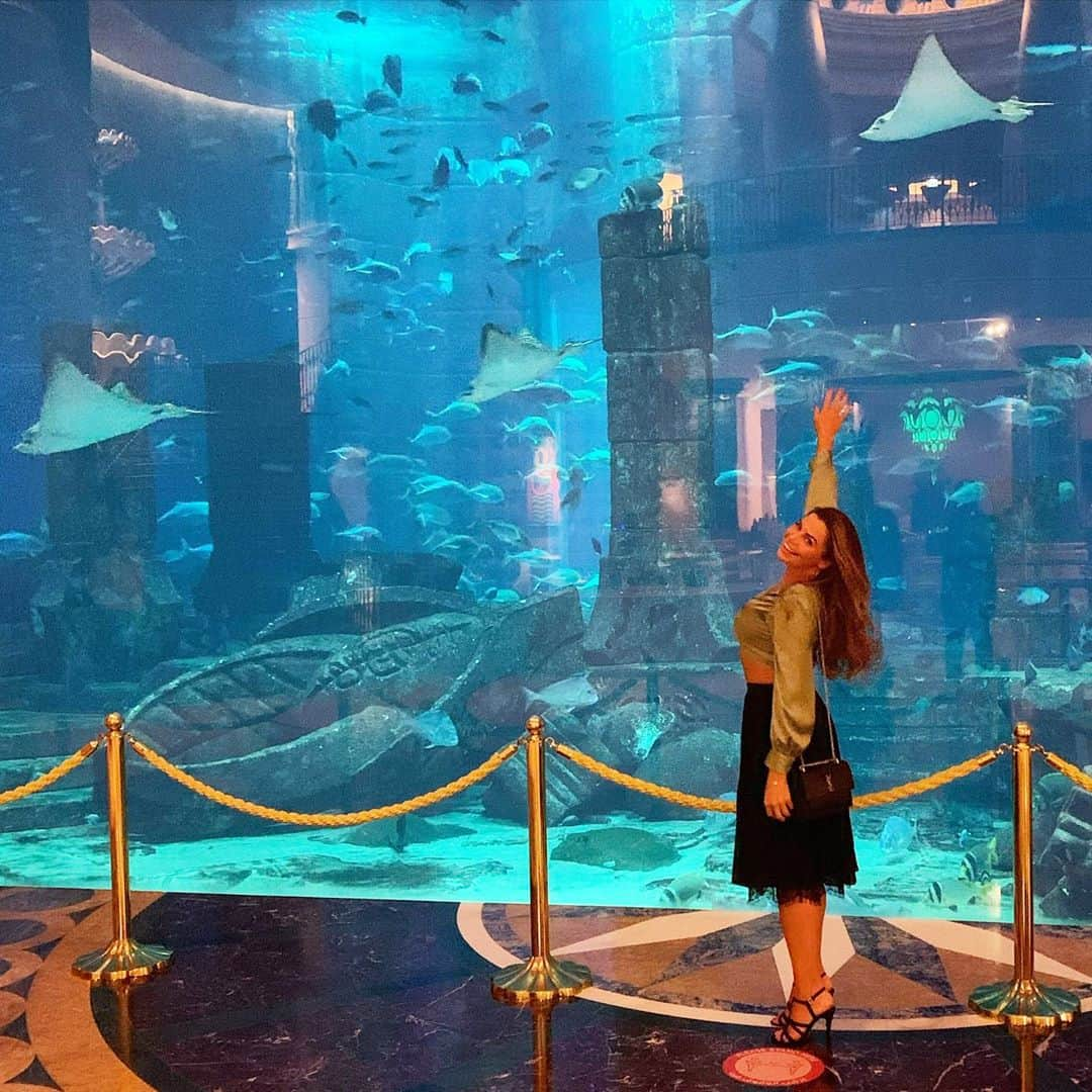 ルイス・グローバーさんのインスタグラム写真 - (ルイス・グローバーInstagram)「Staying at my fav resort in the world 🌊🤍🐬🌎🐠🦈🐬 @atlantisthepalm 🌴🧜‍♀️ no where in the world I can see all my favs in one diving experience. So I’m mega excited to be a mermaid for the week & live out some of my scuba diving dreams.  . In her aqua 🤿 element 🤍 #Dubai #scubadiver #sharklover #raylover #aquarium #mermaid #oceanlover #predatortank #element #freediver #scubagirl #eagleray #sharks #stingrays #sharktank #whitetipreefshark #whitetipreefshark #bucketlist #atlantis #atlantisdubai #dreambelieveachieve #mantaraylover #mantaray #stingray」9月27日 18時30分 - louiseglover