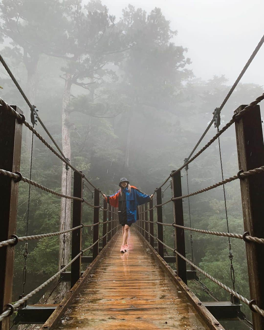 植野有砂さんのインスタグラム写真 - (植野有砂Instagram)「I still have so many places I want to visit in Japan 🥺❤️ Yakushima was truly beautiful... 🥺🙏🏻Yakusugi is a cedar that’s over 1000 yrs old🤯 初屋久島🌳🌳🌳とにかく人がいなくて電波も大体入らない、最強すぎる場所🙏🏻✨✨✨これは着いた日に行ったヤクスギランド✨🌳自然に圧倒されてたら大雨で滑ってこけちゃったけど😂屋久杉って、樹齢が1000年以上のものだけを指すんだって。1000年以下だと小杉と呼ぶそう🤯1000年以上前からここにあるんだなぁと思うと本当に地球ってすごい！まだまだ見たい！✨ #屋久島#yakushima」9月27日 18時27分 - alisaueno