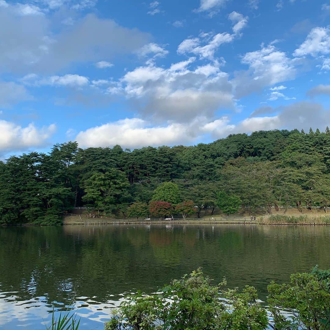 大隅智子さんのインスタグラム写真 - (大隅智子Instagram)「高松の池、毎年ですが、紅葉が早い木があります。 少しだけ色づいてました。 彼岸花、秋バラも咲いてました。 #高松の池　#盛岡　#岩手　#紅葉　#彼岸花　#秋バラ」9月27日 18時33分 - tomokotenki