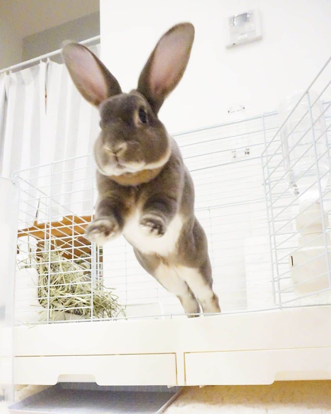 Kayoのインスタグラム：「行くど！ マジで飛び出す2秒前🚀」