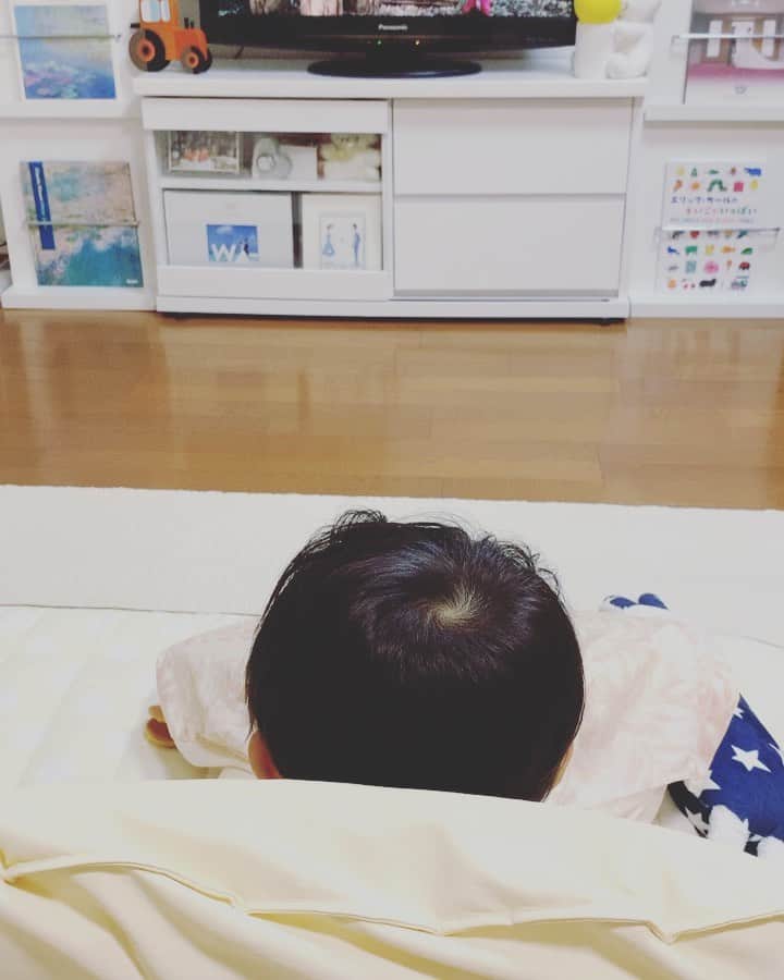 百千糸のインスタグラム：「テレビ見て爆笑し始めた🤣笑」