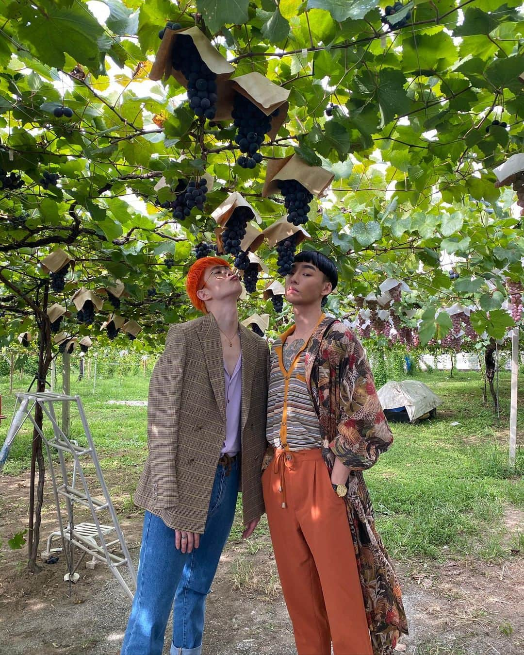 Noah（ノア）さんのインスタグラム写真 - (Noah（ノア）Instagram)「Serving vineyard realness 🍇  Check out our Youtube channel for the closer look! #TaikiNoah#Nanushka#Grapepicking」9月27日 19時48分 - noah_bbb