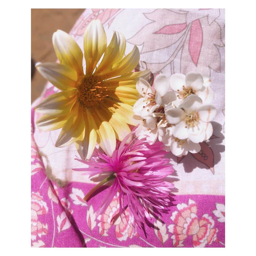 のインスタグラム：「Flowers my daughters picked today 🌸🌼💛 #holidaymoments #love」
