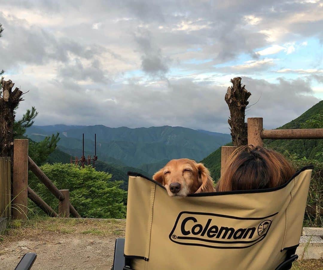 Coleman Japanさんのインスタグラム写真 - (Coleman JapanInstagram)「相棒🐶と一緒にチェアリング💺♪  📷：@yuyaikooo_camping さん 素敵なお写真ありがとうございました☺️ ・ ━━━━━━━━━━━━━━━━━ #私のコールマン または #おうちコールマン を付けて投稿して頂いた中から素敵なお写真は、コールマン公式SNSでご紹介させて頂きます♪ ━━━━━━━━━━━━━━━━━ ・ ・ ・ #灯そうColeman #灯そうコールマン #灯そう #Coleman #コールマン #Tent #テント #Camp #キャンプ #Outdoor #アウトドア #コールマンチェア #チェアリング #犬連れキャンプ #キャンプ犬 #私のコールマン」9月27日 20時00分 - coleman_japan