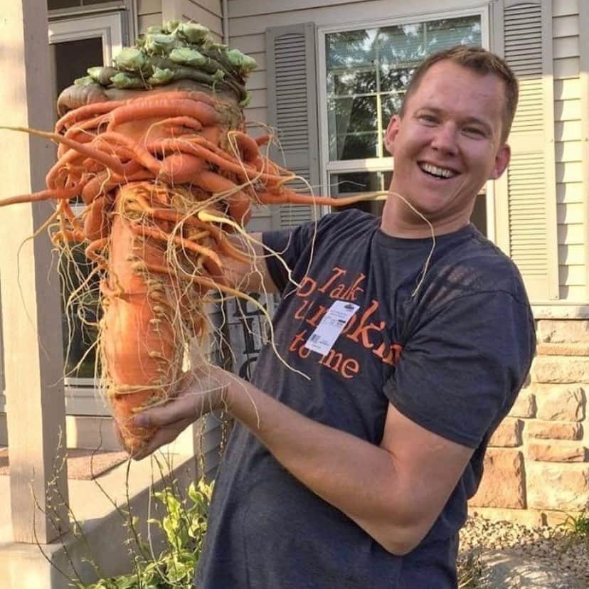 uglyfruitandvegのインスタグラム：「I am told this is the Cthulhu Carrot! 😱🥕👹 Twitter Pic by @scary_gory sent by @lin_nah」