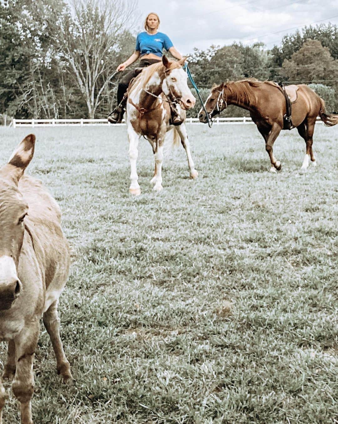Kindly Myersのインスタグラム：「Trying to teach cowboy some manners. Wish me luck.」