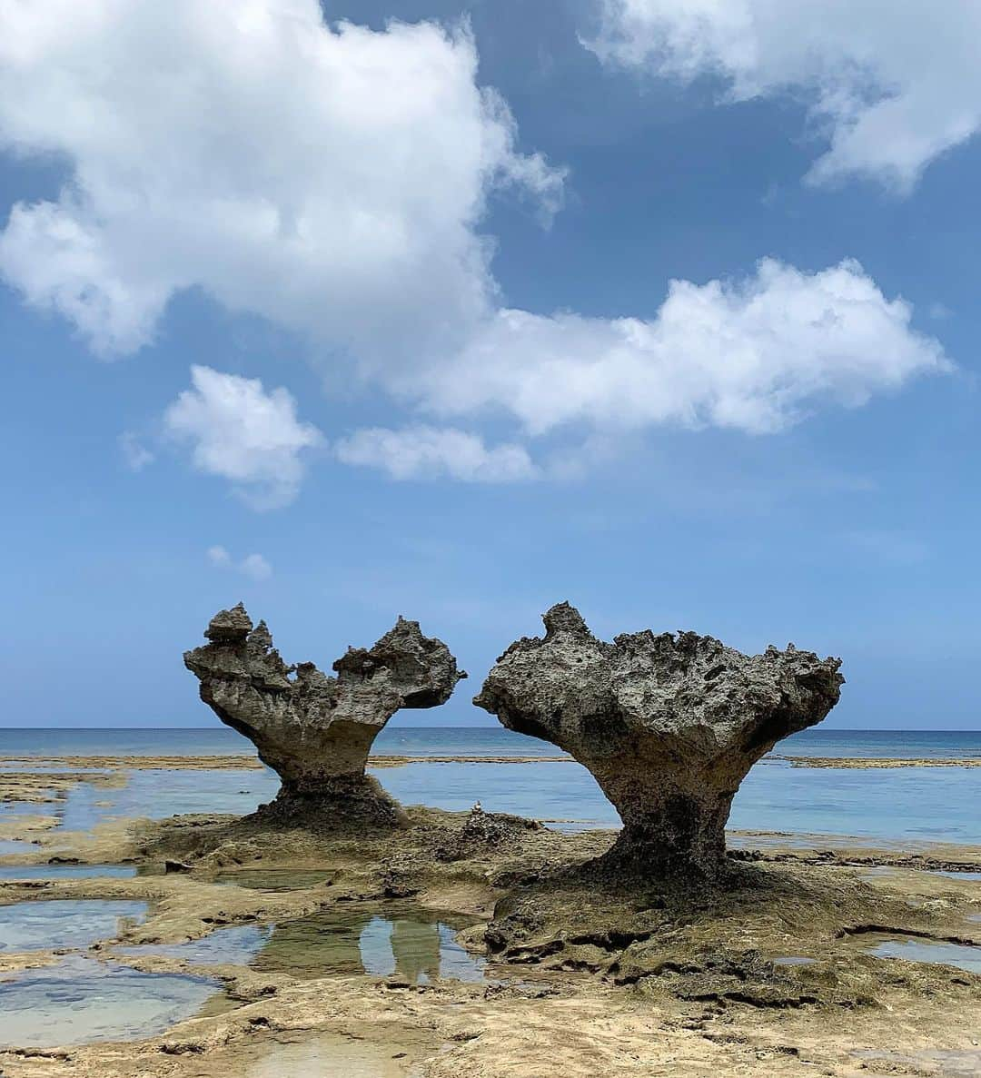 Yukaさんのインスタグラム写真 - (YukaInstagram)「古宇利島 - ずっと行きたかったハードロックに行ったけど、 駐車場からビーチにたどりつくまで結構急斜面で滑ったり危なかった しかも死ぬほど暑かったから汗だくでビショビショになった💦🥵🥵🥵 干潮時に行ったから岩までに行けたし、 潮溜まりに小さな熱帯魚とかウニとかも見えたよ🤩 恋人の聖地と呼ばれてる恋のパワースポットハードロック、我々にとっては地獄スポットだった笑笑 観光客がいなさすぎてこんなふうに誰も写ってない写真が撮れるなんて奇跡かも🤭🤭🤭 - 終わった後に、有名なコウリシュリンプにも行ったよー コロナの影響で今はテイクアウトのみ🥡 並ばずに無事に買えた🥺 辛いやつ食べたいからスパイシーホットガーリックシュリンプを頼んだ🧄 思ったより量多かったけど、スパイシーパウダーめちゃくちゃうまかったから秒で食べちゃった🤭🤭🤭 - 一直很想去看看的心型岩 終於如願以償的看到了 可是從停車場到海灘的路途又窄又小，雜草也一堆，被刮到很痛、沿路真的很難走又超熱還好幾度差點滑倒😂😂 還沒到達就全身汗好狼狽🥵🥵 去的時候剛好是退潮，完全可以走到岩石旁邊拍照，重點人真的很少，想怎麼拍就怎麼拍 只是太陽很刺眼，不但眼睛睜不開，又悶又熱真的拍沒兩張就想趕快離開 有情侶聖地之稱的心型岩，對我們兩個情侶來說真的是地獄景點，有來過一次就好了😅😅 - 結束後只想趕快去買有名的蝦蝦飯 網路一致好評，實在很好奇到底有多好吃 到了以後一個人都沒有，一度以為沒營業心涼了一半 原來是因為新冠肺炎現在只提供外帶外送服務 大家買了就走，完全不用排隊就輕鬆買到了🥺 點了辣味蒜香奶油飯，份量比我想像中多好多 另外付的那盒辣椒粉，超級好吃🤩 灑下去整個胃口大開🤭 好吃到我們都想問店員有沒有在賣辣粉🤣🤣  #kouriisland#kourishrimp#kouri#okinawa#okinawajapan#okinawalife#okinawatrip#okinawafood#beach#semmer#summervacation#沖縄#古宇利島#古宇利島ビーチ#ハードロック#ティーヌ浜#パワースポット#恋人の聖地#コウリシュリンプ#エビ#ガーリックシュリンプ#古宇利島カフェ#古宇利島グルメ#古宇利島ランチ#オススメ#フォトスポット#インスタ映え#夏#海」9月27日 22時27分 - loveyuka06