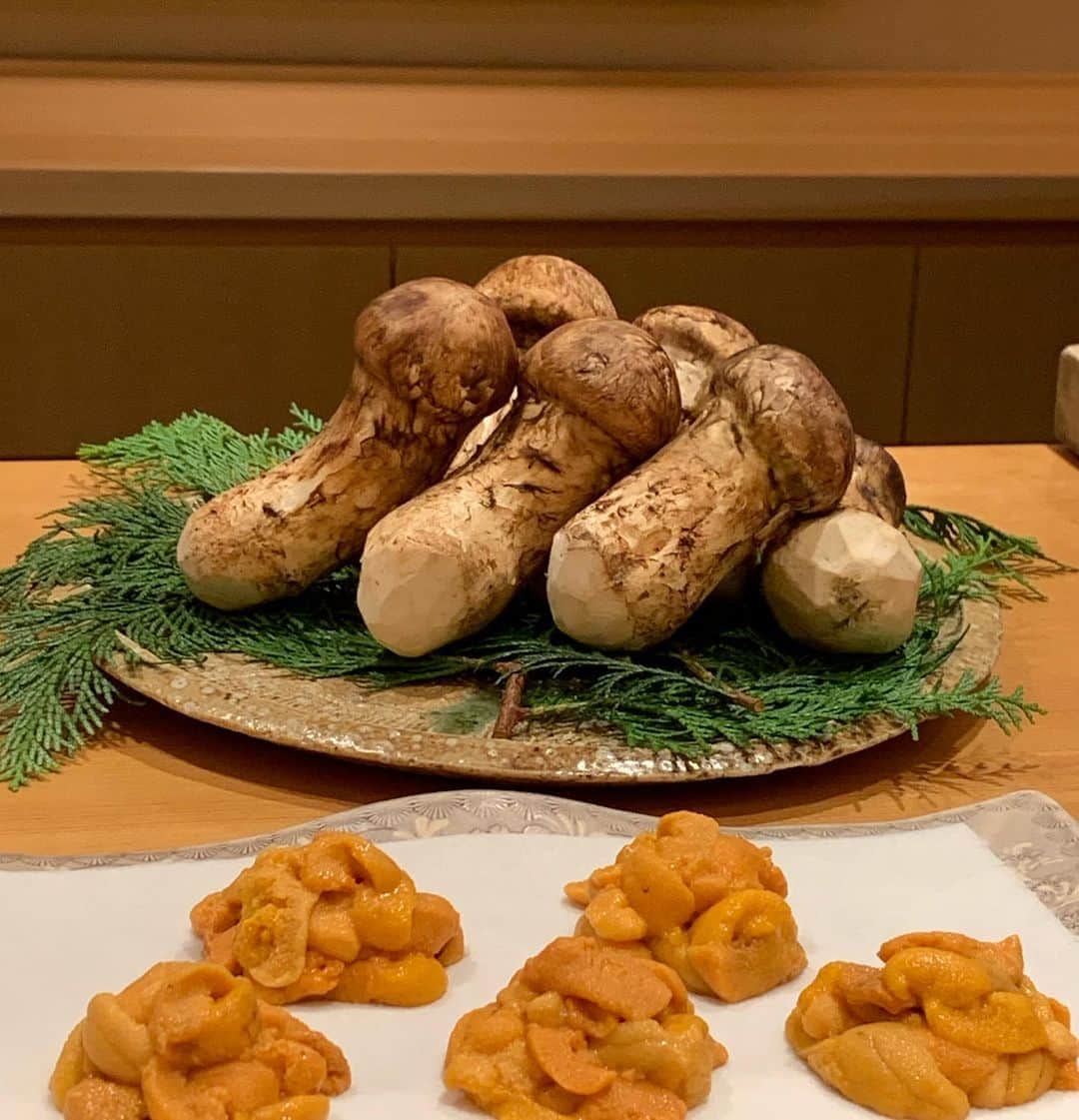 橋本志穂さんのインスタグラム写真 - (橋本志穂Instagram)「エビもキスも サイコーに美味しかった。  麻布十番のたきやさんで 天ぷら会食。  多佳恵さんからご招待いただきしあわせな時間でした〜  松茸祭り❣️  松茸に甘鯛をまとわせた天ぷら 牛肉の天ぷら 雲丹の磯辺  珍しい天ぷらもたくさん いただきました  松茸のかき揚げのせた 天丼、また食べたいなー」9月27日 22時34分 - shihohashimoto3