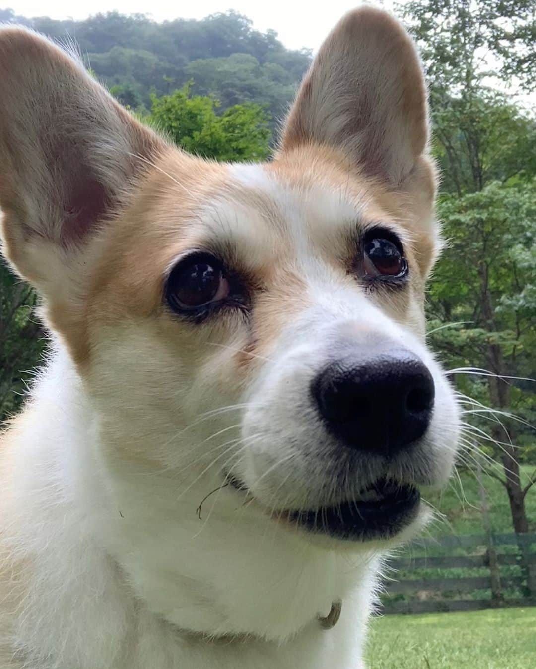 橋本志穂のインスタグラム