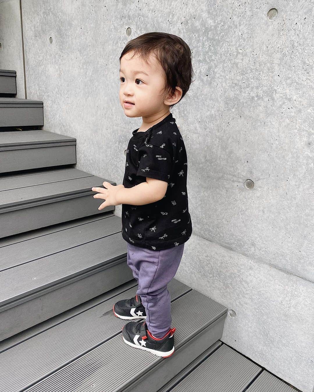 のインスタグラム：「.﻿ 昨日で1歳4ヶ月に。﻿ 階段登りに燃えるあまり あごがしゃくれ上がってる...🤦🏻‍♀️﻿ ﻿ 最近お気に入りミュージックはNijiUとBTS🌈 そんな怪獣くんです🦖 ﻿ ﻿ ﻿ #男の子ママ#1歳4ヶ月 #コンバース#ベビーシューズ#インセクトコレクション #ベビー服#キッズコーデ #こどもふく #たれ目ベビー #16months #boysmom #converse #babyshoes」