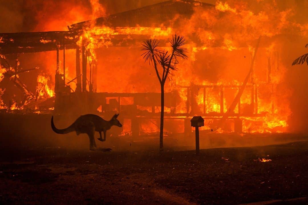 のインスタグラム：「Shortlist #LOBA #10 - Matthew Abbott (@mattabbottphoto)  Australian photographer, Matthew Abbott, covers the heartache that Australia has suffered due to the widespread wildfires that claimed more than 25 million hectares in 2019. 'The Black Summer' series plays witness to the catastrophic effects of climate change in Australia and the country's fight against record temperatures and ongoing drought. Follow the link in our bio for more.  #LeicaCamera #Leica #🔴📷」