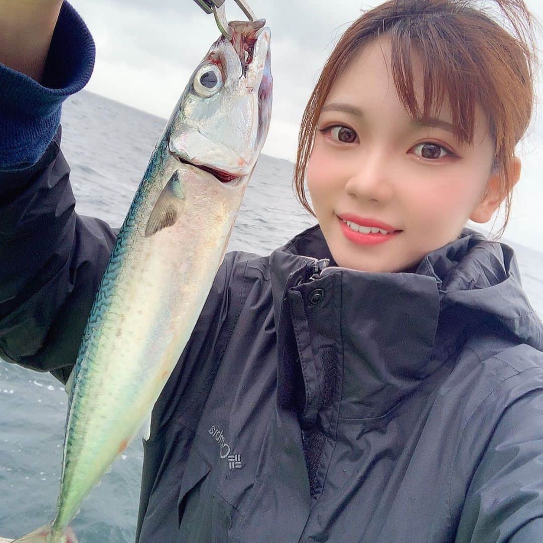 Sakiさんのインスタグラム写真 Sakiinstagram アマダイ釣りで本命釣れず でも鯖釣ってきた 釣り 釣りガール 釣り女子 釣り好きな人と繋がりたい 釣り好き 釣りスタグラム 釣り好きと繋がりたい 釣り初心者 釣りバカ 釣りフォト 釣り人