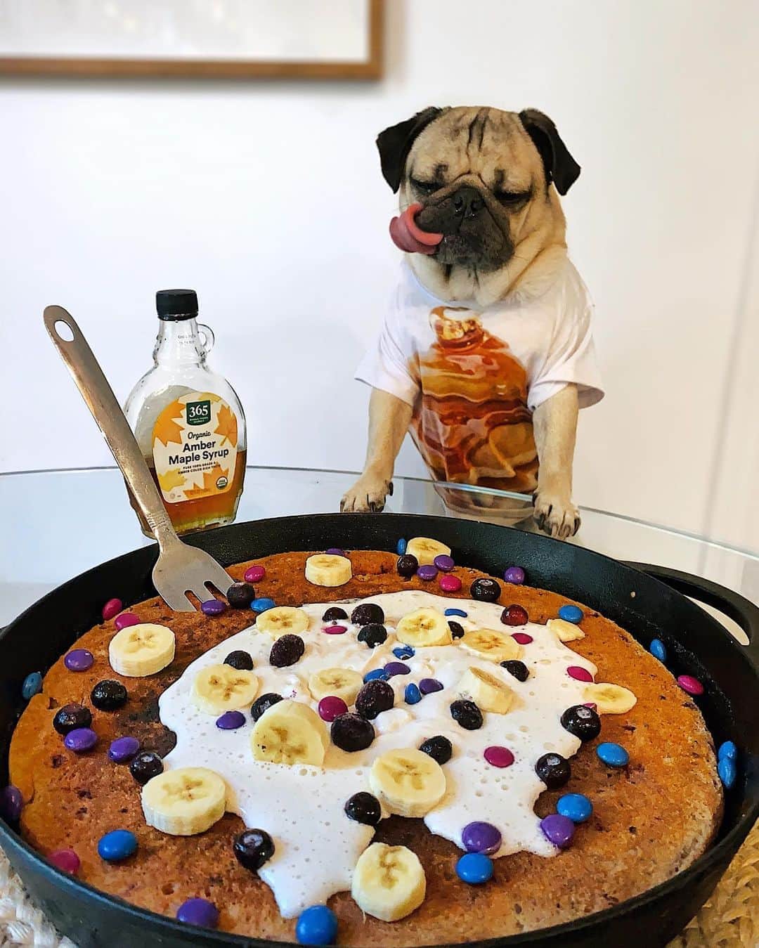 itsdougthepugさんのインスタグラム写真 - (itsdougthepugInstagram)「“Leave it to a pug to create a Pancake Pizza” -Doug」9月28日 0時33分 - itsdougthepug