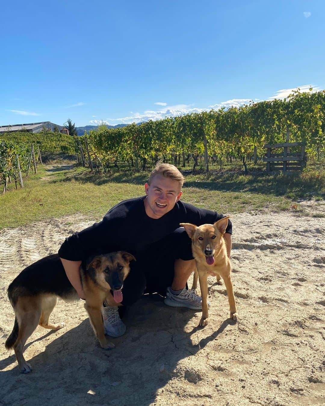 マタイス・デ・リフトのインスタグラム：「🐶🐶」