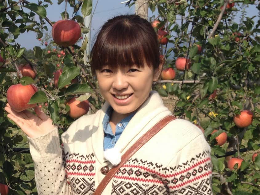 女子アナ47のインスタグラム：「NHK長野放送局、NHK静岡放送局出身の大下佳菜です。 厳し残暑が続く中、少しずつ秋を感じる機会が増えてきましたね。 空を見上げると夏の雲と秋の雲が浮かび、耳を澄ますと夏の虫と秋の虫の鳴き声が聞こえてきます。 スーパーでも“秋”の味覚 果物が並んでいます。 私が新人時代を過ごした長野県の塩尻市はある果物の産地。 街の玄関口　JR塩尻駅でその果物が栽培されているんです。  “47発信プロジェクト”でご紹介しています！ 詳しくはプロフィール欄にあるURLからご覧ください。   #女子アナ47 #47発信プロジェクト #女子アナ発信プロジェクト #アナウンサー #フリーアナウンサー #リポーター #地方創生 #47都道府県 #地方創生アナウンサー #地域活性化 #ブログ #ラジオ #テレビ #長野県 #信州 #フルーツ王国 #新人時代 #長野県塩尻市 #塩尻市 #秋の味覚 #ぶどう #JR塩尻駅 #果物 #ぶどう棚 #ワイン」