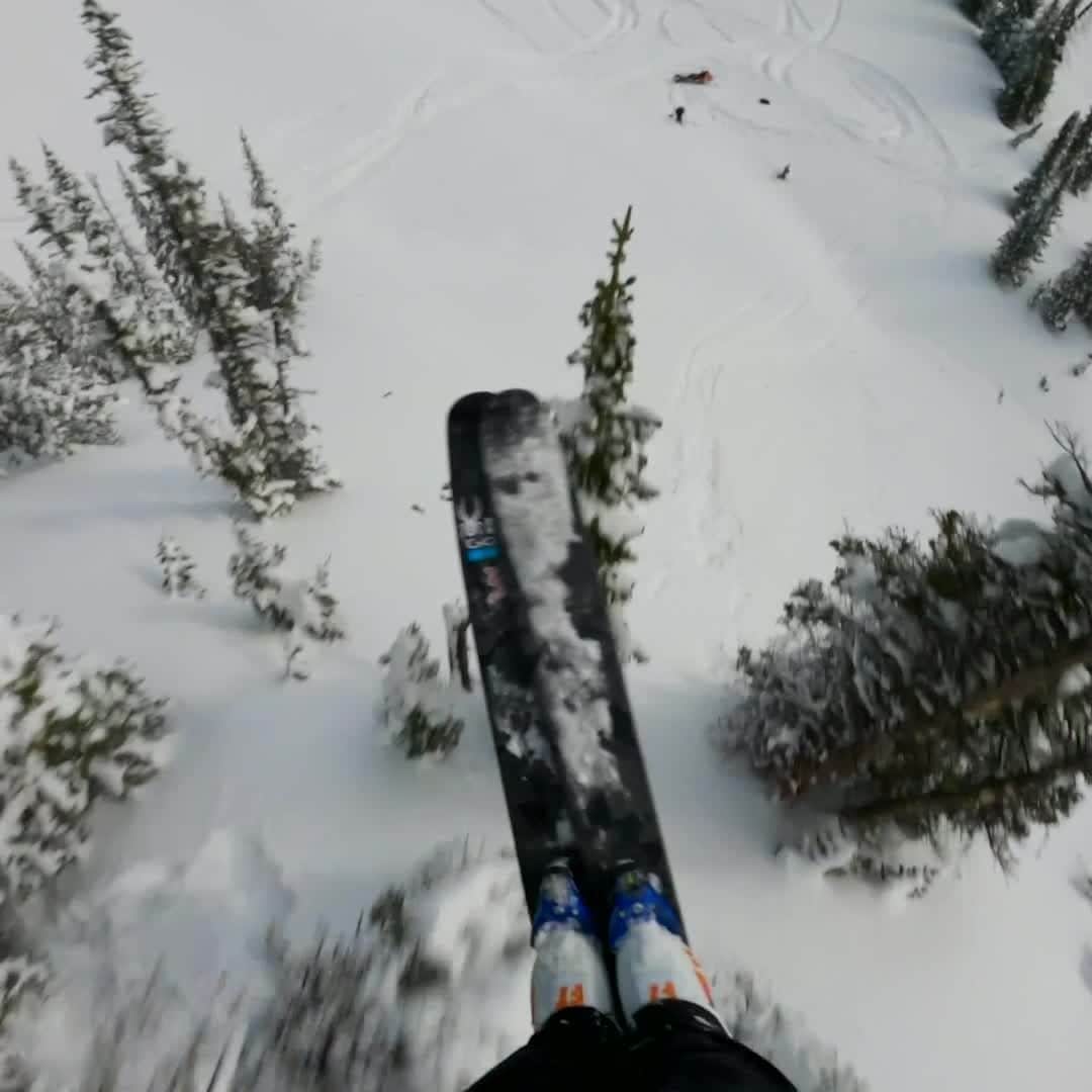 レッドブルのインスタグラム：「who put that tree there? 😂   🏃‍♂️: @bobbybrown #ski #skiing #POV #redbull #givesyouwings」