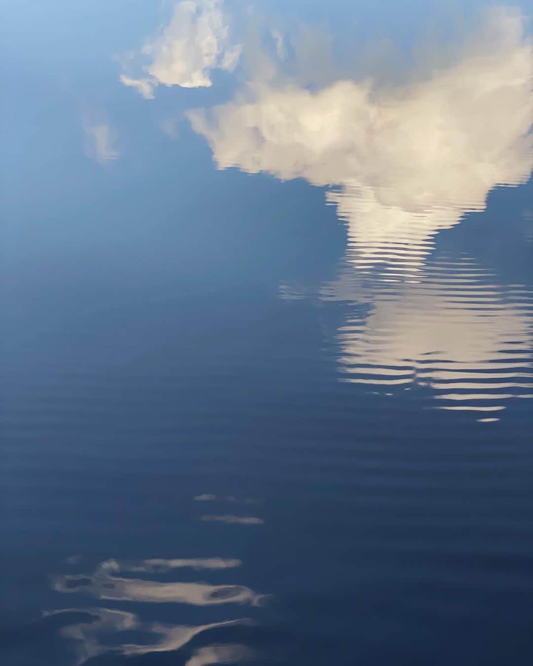 アリス・ガオのインスタグラム：「ripple」