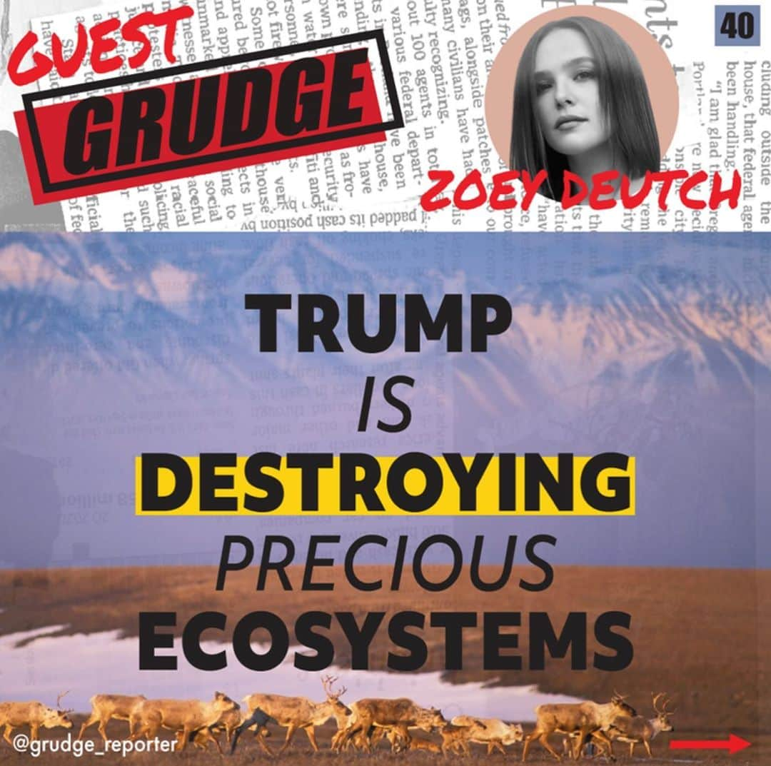 ゾーイ・ドゥイッチさんのインスタグラム写真 - (ゾーイ・ドゥイッチInstagram)「🐻 🐢 and so many more beautiful creatures can’t survive four more years of trump. and neither can we. see the full post on @grudge_reporter #votehimout #holdagrudge  Repost from @grudge_reporter - From coral reefs to polar bears to human beings, every species on earth is under stress from climate change.  #climatechangeisreal」9月28日 5時19分 - zoeydeutch