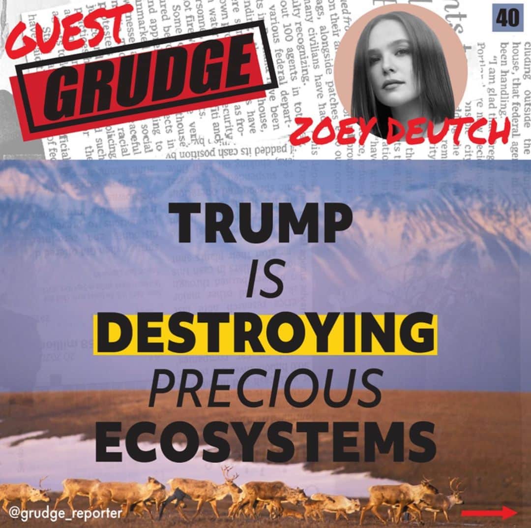 ゾーイ・ドゥイッチのインスタグラム：「🐻 🐢 and so many more beautiful creatures can’t survive four more years of trump. and neither can we. see the full post on @grudge_reporter #votehimout #holdagrudge  Repost from @grudge_reporter - From coral reefs to polar bears to human beings, every species on earth is under stress from climate change.  #climatechangeisreal」