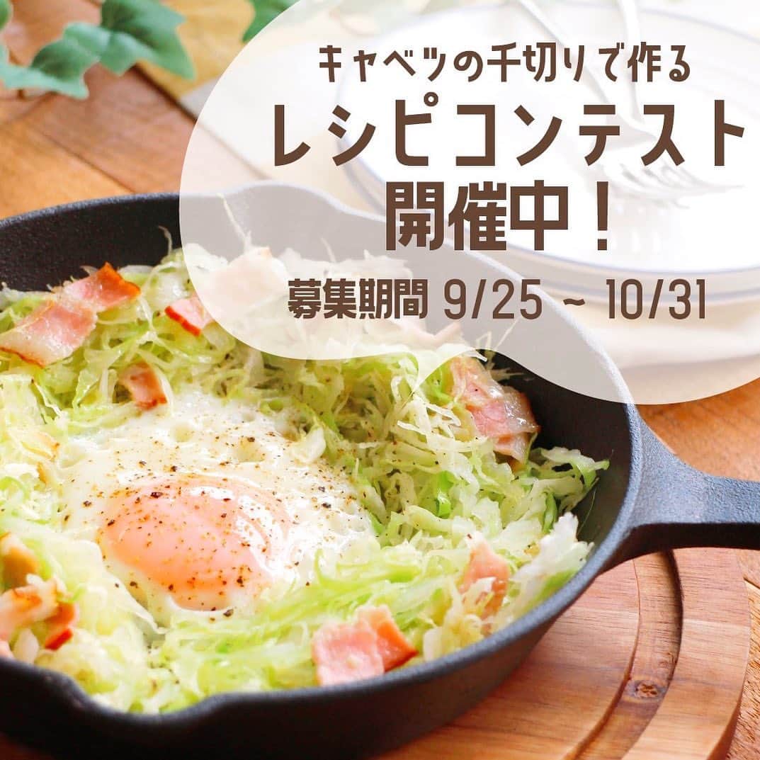 ののじ公式アカウントのインスタグラム：「【ののじ ☆キャベツの千切りレシピコンテスト☆　9/25～10/31】  Instagramで『キャベツの千切り』を使った料理のアイデアを募集します😄  サラダや揚げ物の添え物としてだけではなく、他の食材と炒めたり煮込んだり、またはキャベツの千切りと調味料だけで成り立つ極うまレシピなど、ひと皿でキャベツの千切りを沢山摂れるメニューを開発してください！  〈応募方法〉 ののじのInstagramアカウントをフォローして頂き、「#ののじ #キャベピィMAXコンテスト」を入れてキャベツの千切り料理のレシピと料理画像を投稿。  ＜募集期間＞⁣ 2020年9月25日(金)～10月31日(土)⁣  ⁣ ＜入選者数＞⁣ 最大10名様⁣  <賞品>⁣ オリジナル性の高いレシピを開発してくれた10名の入選者に、ののじの新商品『キャベピィMAX』をプレゼント！  ＜入選者発表＞⁣ 入選者発表は11月1日(日)以降を予定しております。⁣ 入選者の⽅にはInstagram上のDMにてご連絡差し上げます。⁣  ＜ご注意＞⁣ ＊おひとりさまで複数回応募いただけます。⁣ ＊複数回応募いただいた場合でも、入選回数は1回です。重複しての入選はございません。⁣ ＊同一の応募者さまから複数アカウントを使用しての応募を確認した場合、1アカウントの応募のみを有効とみなし、それ以外の応募は無効といたします。⁣ ＊審査時に、アカウントフォロー、入選要件となる状態を維持いただいていることが確認できない場合、審査対象から外れることがあります。おおむね1か月程度、フォロー、いいねの状態を継続いただくことをお勧めします。⁣ ＊入選されたご投稿のお料理写真とレシピは、ののじの公式SNSやHPで掲載させて頂く場合がございます。 ＊本キャンペーンは予告なく中止または変更させていただく場合がございます。⁣ ＊本キャンペーンにご参加いただくことにより、本募集要項に同意いただいたものとみなします。（未成年者の方は、親権者に同意いただいたものとみなします）⁣ ＊当社の社員とその家族、及び関係者の応募はできません。⁣ ＊日本国外にお住まいの方に対しては、入選しても配送できません。国内にお住まいのフォロワー様限定のキャンペーンです。⁣ ＊再審査は行いません。⁣ ＊アカウントを非公開設定にしている場合は審査対象外となります。⁣ ＊下記に当てはまる場合、ご入選の資格は無効となります。⁣ ・通信環境の良くない状態にありDMが不着となった場合⁣。 ・ご入選通知のDMに対し返信期限までに手続きをご履行いただけない場合⁣。 ・登録内容に不備があった場合⁣。 ・住所/転居先不明または長期不在などにより、賞品がお届けできなかった場合⁣。 ＊賞品の返品・交換・配送業者より弊社に返品されてからの再配送はできませんのでご了承くださいませ。⁣ ＊賞品発送後の賞品による損害等の責任については、弊社は一切負いかねます。予めご了承ください。⁣なお、賞品が不良品だった場合は到着1週間以内のお申し出に限りお取替えいたします。 ＊賞品の転売は固く禁止させていただきます。⁣ ＊賞品の発送は発送先個人情報の入力締切日から約2週間後を予定しております。都合により、賞品の発送が多少遅れる場合もございますので、あらかじめご了承ください。 ⁣ ＊本キャンペーン参加にあたって生じるインターネット接続料や通信料、入選通知メールに記載の手続を履践するにあたって生じる諸費用は、ご本人様の負担となります。⁣  たくさんのご応募お待ちしております！⁣ ⁣ にこにこ、うふふが、いっぱい😊⁣ .⁣ .⁣ #ののじ #キャベピィMAX #キャンペーン #プレゼント企画 #プレゼント #プレゼントキャンペーン #料理 #料理好きな人と繋がりたい #キャベツの千切り #キャベツ千切り料理 #おうちごはん #キッチングッズ #キッチンアイテム #キッチン用品 #便利グッズ #幼児ごはん #子育てママ #ママ応援 #子育てママ #レシピ #子供ご飯 #幼児食メニュー #赤ちゃんのいる生活 #ベビスタグラム #ママと繋がりたい #コンテスト #レシピコンテスト #募集中」