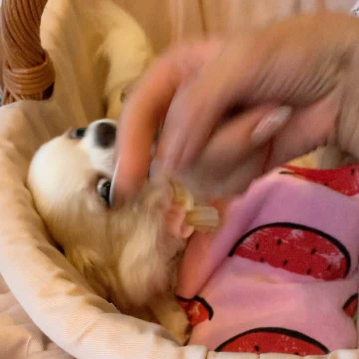 tetoyanyanのインスタグラム