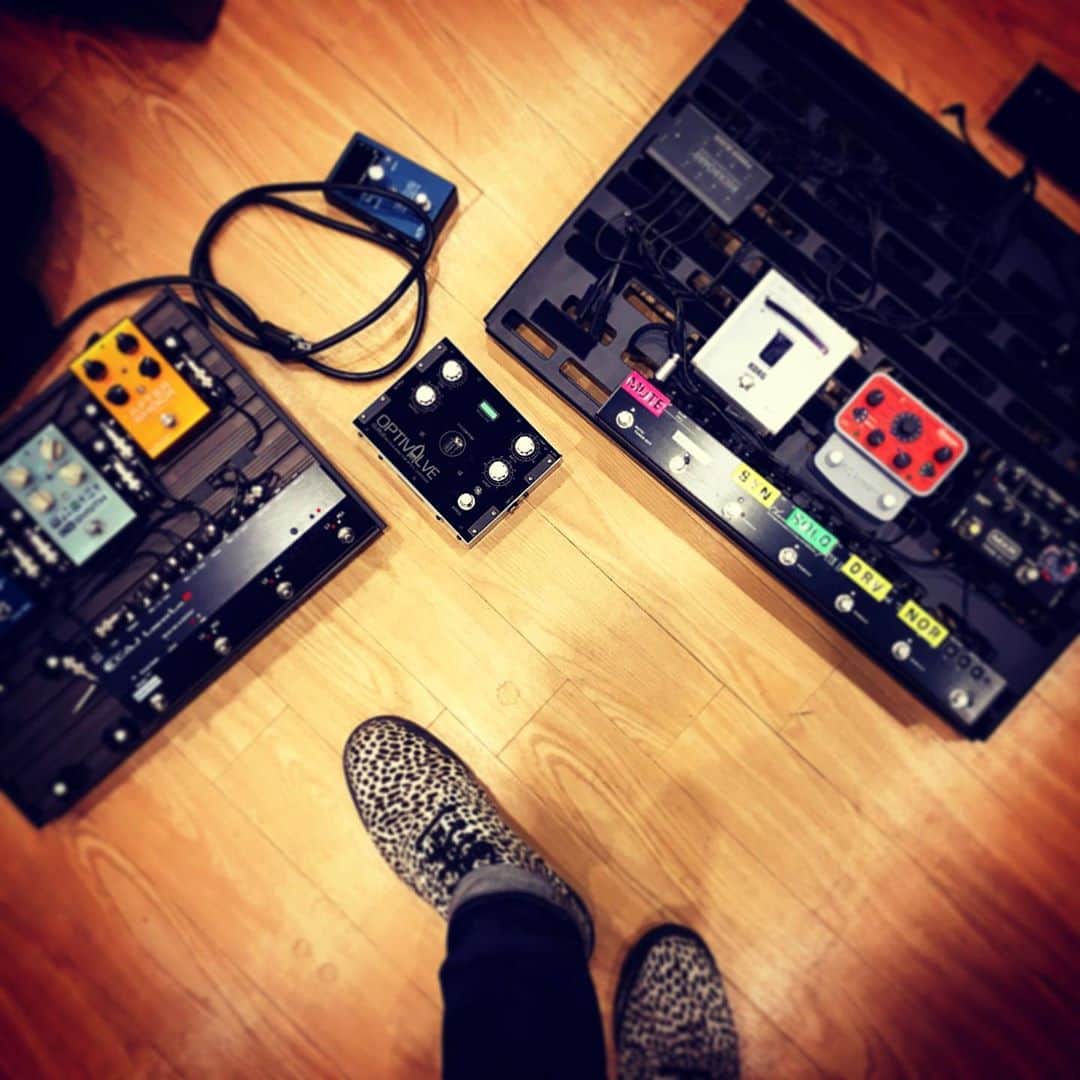 Ju-kenのインスタグラム：「Pedals and Docs!  腹は減るけど炭水化物摂ると眠くなる、、、  リハ中に最適なスーパーフードは何ですか？？  #Pedals #docs #sourceaudio #warwick #elixir #sadowsky #gravitypicks #gurus」
