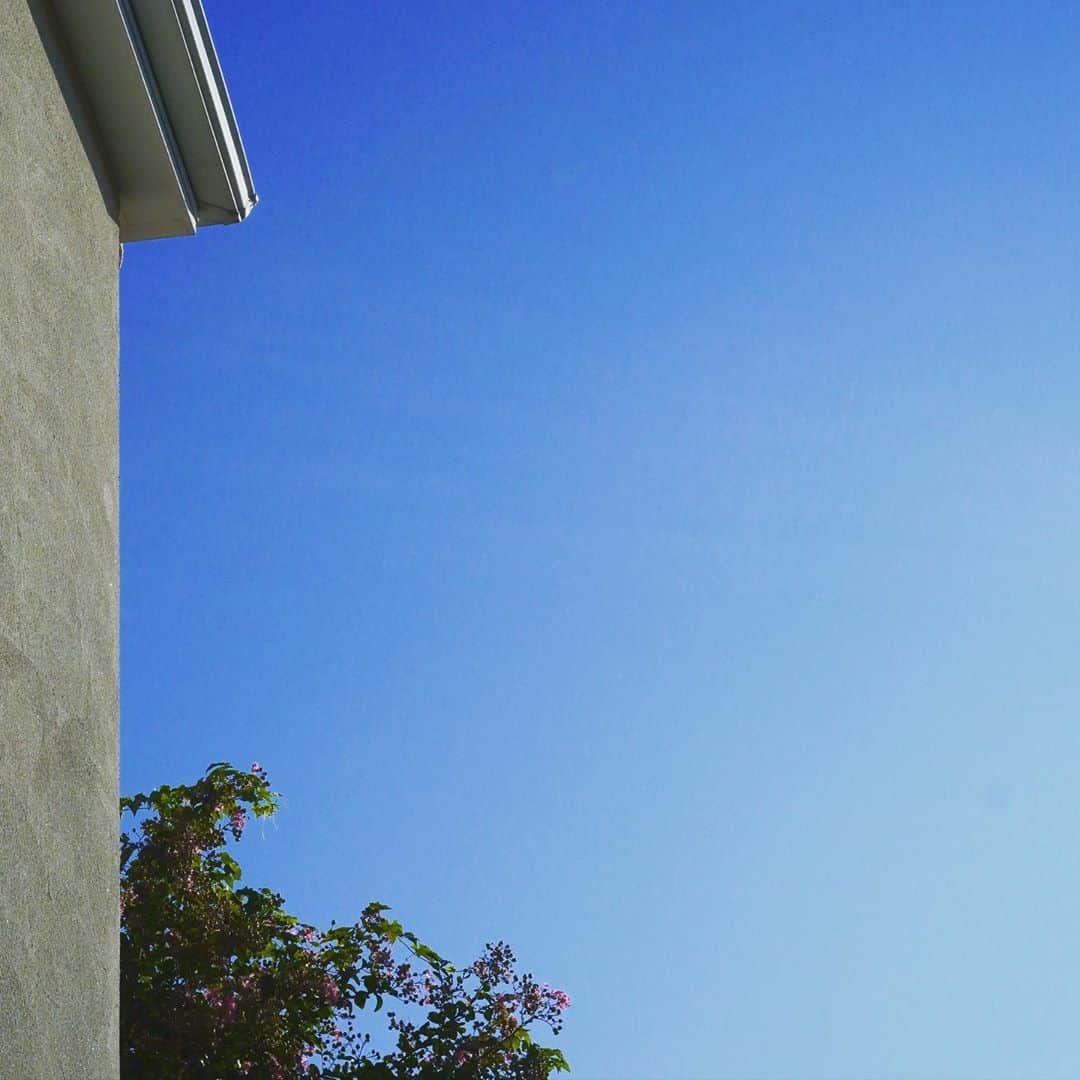 徳永有美さんのインスタグラム写真 - (徳永有美Instagram)「くもひとつない空。 久々の快晴、ありがたいです。 一週間が始まりますね。 青空とすずやかな空気を吸って 自分のペースで。  今夜も報道ステーション、よろしくおねがいします。  #報道ステーション  #徳永有美 #快晴だけど #色んなことを思う朝」9月28日 7時38分 - yumi_tokunaga.official
