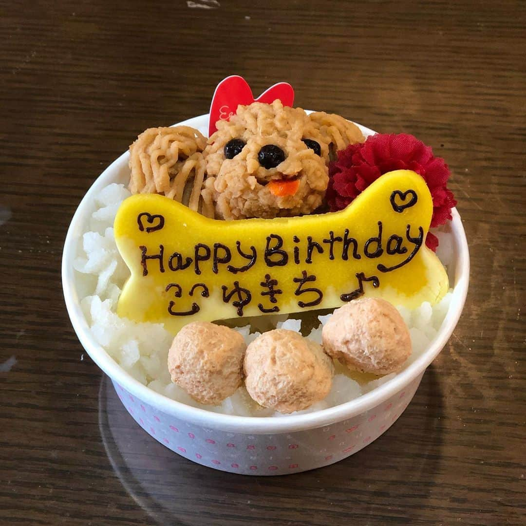 関口未来さんのインスタグラム写真 - (関口未来Instagram)「♪Happy Birthday to you  可愛い姪っ子たちにもお祝いして貰って、似顔絵ケーキ🐶 3歳のお誕生日おめでとう🎊 似顔絵ケーキは ドッグダイナーさんで注文しました❣️ 毎年違うケーキ屋さんで注文していますが 今年は、食にうるさい諭吉がなんと完食‼️ アレルギーや好き嫌いが激しく、今年もパフォーマンスで終わっちゃうかなと思ったんですが、グルテンフリーだけでなく、油なども不使用で、あっという間にペロリ😝  1枚目の写真は小学校2年の姪っ子がとってくれました📸 上手🥺👏  #産後7ヶ月  #男の子ママと繋がりたい  #男の子ママ  #新米ママ #新米ママと繋がりたい  #男の子baby  #hbd #happybirthday  #お誕生日おめでとう  #似顔絵ケーキ #赤ちゃんと犬  #愛犬のいる生活  #boymom  #愛犬のいる暮らし #モデル犬 #ティーカッププードル #mamagirl #millymilly #たまひよメイト #たまひよ公式グラマー  #トイプードル #モフモフ部 #令和2年ベビー  #親バカ部 #いぬすたぐらむ  #フォロワー募集中」9月28日 9時00分 - miki.sekiguchi_x