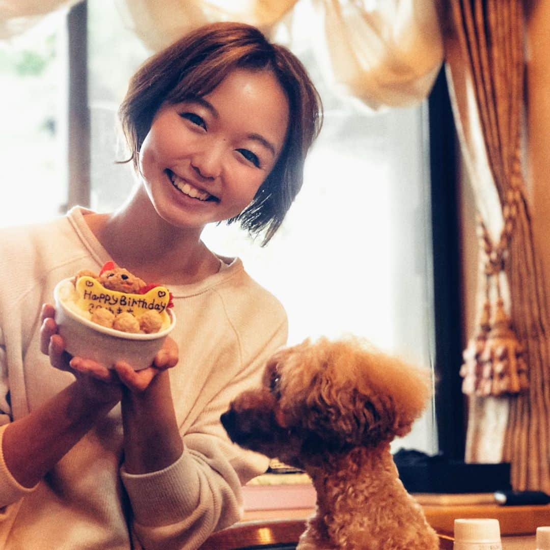 関口未来さんのインスタグラム写真 - (関口未来Instagram)「♪Happy Birthday to you  可愛い姪っ子たちにもお祝いして貰って、似顔絵ケーキ🐶 3歳のお誕生日おめでとう🎊 似顔絵ケーキは ドッグダイナーさんで注文しました❣️ 毎年違うケーキ屋さんで注文していますが 今年は、食にうるさい諭吉がなんと完食‼️ アレルギーや好き嫌いが激しく、今年もパフォーマンスで終わっちゃうかなと思ったんですが、グルテンフリーだけでなく、油なども不使用で、あっという間にペロリ😝  1枚目の写真は小学校2年の姪っ子がとってくれました📸 上手🥺👏  #産後7ヶ月  #男の子ママと繋がりたい  #男の子ママ  #新米ママ #新米ママと繋がりたい  #男の子baby  #hbd #happybirthday  #お誕生日おめでとう  #似顔絵ケーキ #赤ちゃんと犬  #愛犬のいる生活  #boymom  #愛犬のいる暮らし #モデル犬 #ティーカッププードル #mamagirl #millymilly #たまひよメイト #たまひよ公式グラマー  #トイプードル #モフモフ部 #令和2年ベビー  #親バカ部 #いぬすたぐらむ  #フォロワー募集中」9月28日 9時00分 - miki.sekiguchi_x