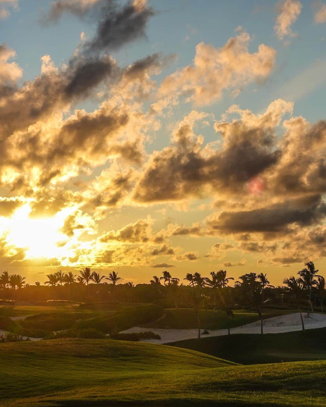 PGA TOURさんのインスタグラム写真 - (PGA TOURInstagram)「Until next year, @coraleschampionship. 😍」9月28日 9時12分 - pgatour