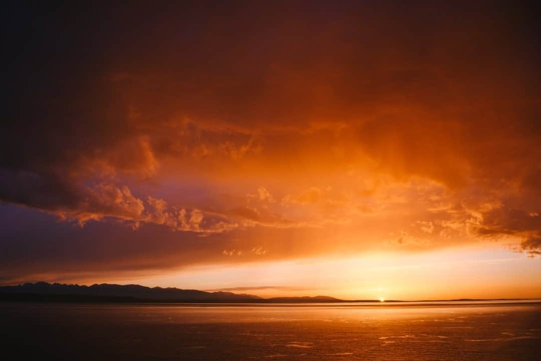 National Geographic Travelさんのインスタグラム写真 - (National Geographic TravelInstagram)「Photo by @max.lowe / As often as sunsets happen, I am always caught off guard when I get to experience an especially remarkable one that singes itself into my memory. Our first night on the water during a two-week trip from Seattle, Washington, to Sitka, Alaska, was a combo of perfect atmospheric conditions and glowing last light. It turned the world orange and purple all over in a way I had never seen before.  To see more from my trip up the Inside Passage, follow @max.lowe.」9月28日 9時05分 - natgeotravel