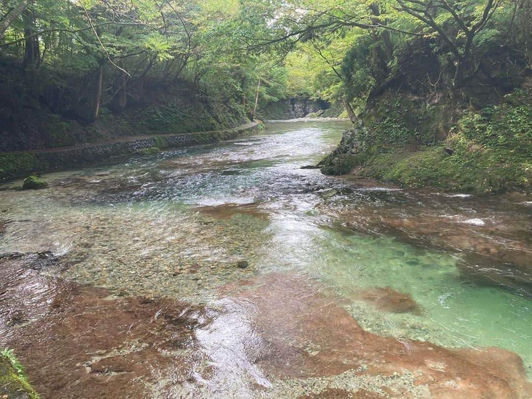 渡部純平さんのインスタグラム写真 - (渡部純平Instagram)「Energy from beautiful nature. 自然に自然体で。 . . . #nofilter  #nature  #beautiful #秘境 #滝 #自然 #日本 #美しい景色  #美 #life #lifestyle #lifeisjourney  #🌎 #🍀」9月28日 9時18分 - junpei_wt7b