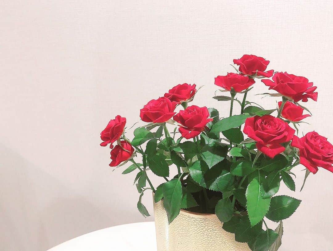 ダレノガレ明美さんのインスタグラム写真 - (ダレノガレ明美Instagram)「寝室にはバラを…🌹」9月28日 10時15分 - darenogare.akemi