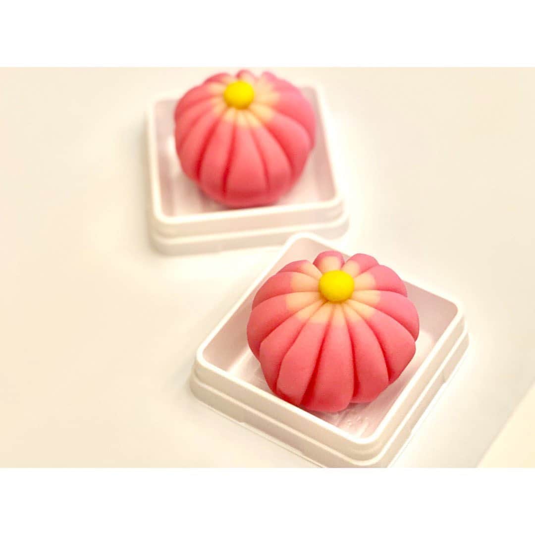 中田奈沙さんのインスタグラム写真 - (中田奈沙Instagram)「Wagashi🌸 和菓子づくりを初体験。 まんまるに丸める事からして難しい。 なんとなく形になってよかった😂 《越山甘清堂》の上生菓子なので、お味はお上品な甘さでくどくなくて美味しい☺️❤️ . #奈沙旅in金沢 #奈沙ログ #奈沙ログin金沢  #wagashi #japanesesweets #kanazawa #ishikawa #japaneseconfectionery #sweets #foodie #foodstagram #foogasm #instafood #foodporn #foodpic #越山甘清堂 #和菓子 #上生菓子 #和菓子づくり #金沢 #体験 #生菓子 #女子旅 #グルメ旅 #石川 #週末」9月28日 10時17分 - nasa_nakada