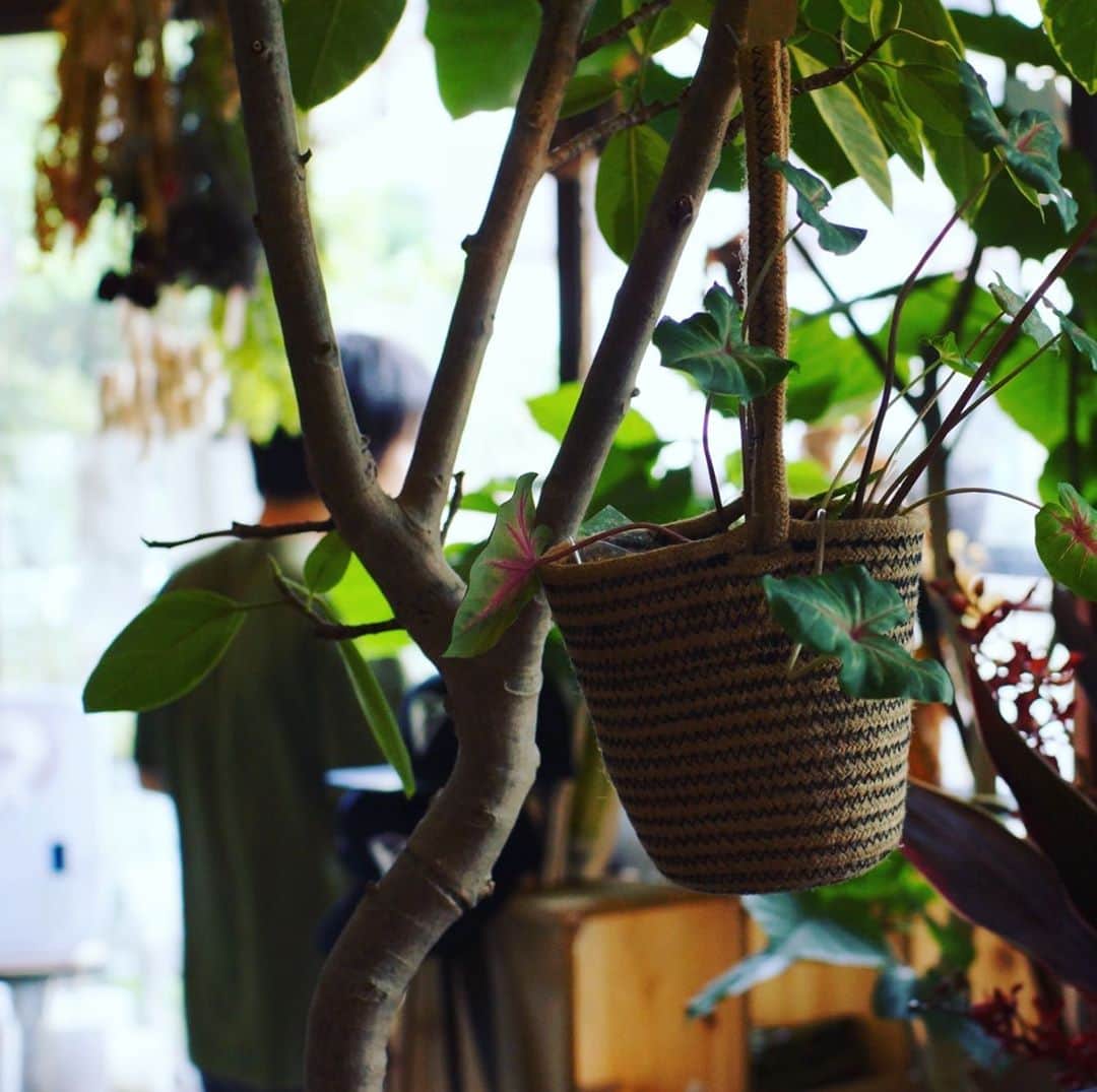 MILLE ECLAT.のグルメインスタ